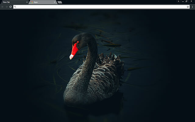 Black Swan Google Chrome Theme