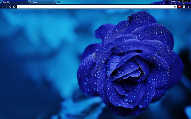 Blue Rose Google Chrome Theme - Theme For Chrome