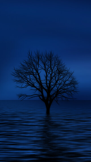 blue tree moonlight iphone background