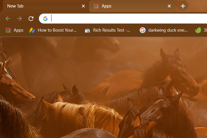 wild horses theme for google chrome