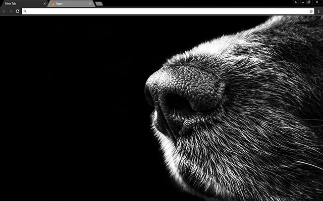 Dog Nose Google Chrome Theme