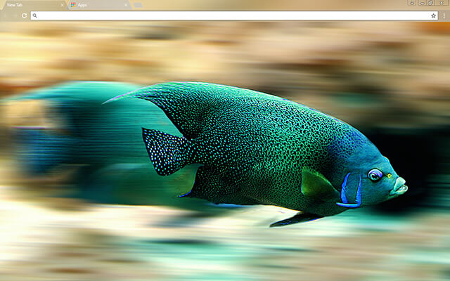 Fishy Google Chrome Theme
