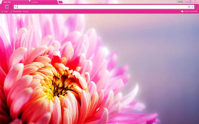 Floral Pink Google Chrome Theme
