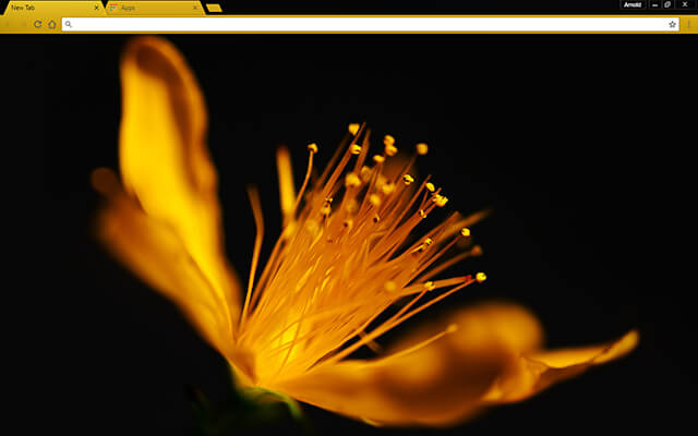 Golden Flower Google Chrome Theme