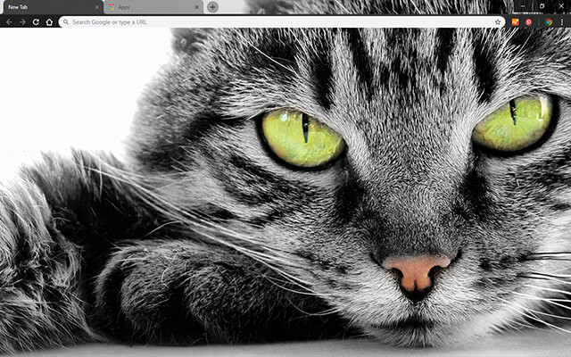 Green Eyed Cat Chrome Theme