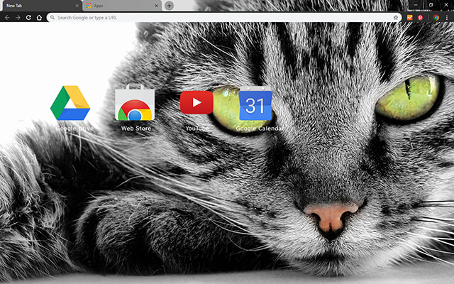 Green Eyed Cat Google Theme - Theme For Chrome