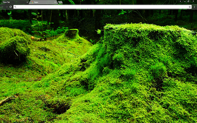 Green Forestry Google Chrome Theme