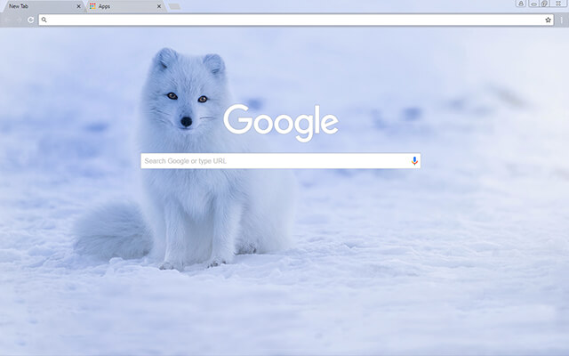 Iceland Fox Chrome Theme - Theme For Chrome