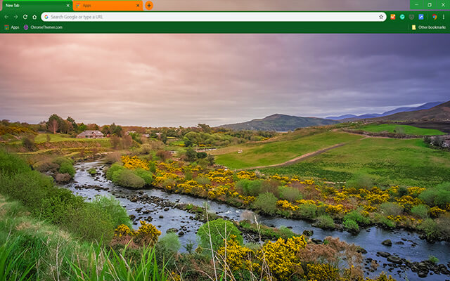Irish Beauty Google Chrome Theme