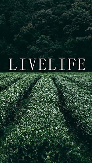 live life inspirational iphone background