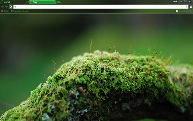 Mossy Oak Google Chrome Theme