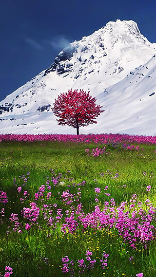 mountain flowers iphone background