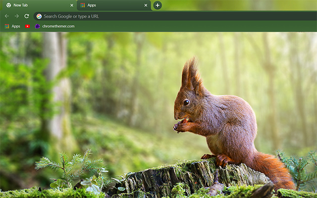 Red Squirrel Theme