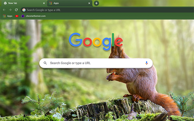 Red Squirrel Chrome Theme - Theme For Chrome