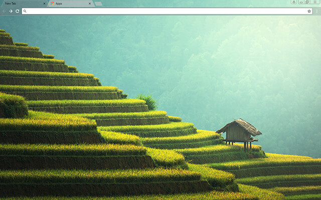 Rice Paddy Google Chrome Theme