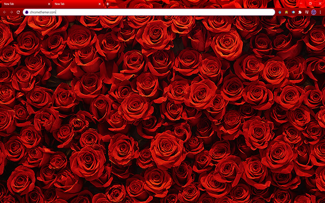 Rosy Red Roses Chrome Theme