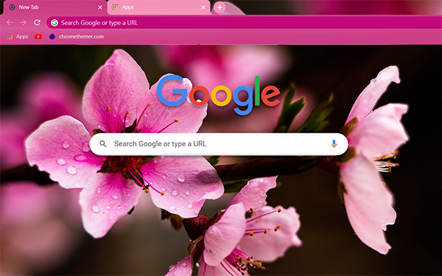 Sakura Chrome Theme - Theme For Chrome