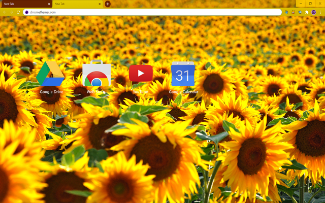 Solarized Sunflowers Theme For Chrome