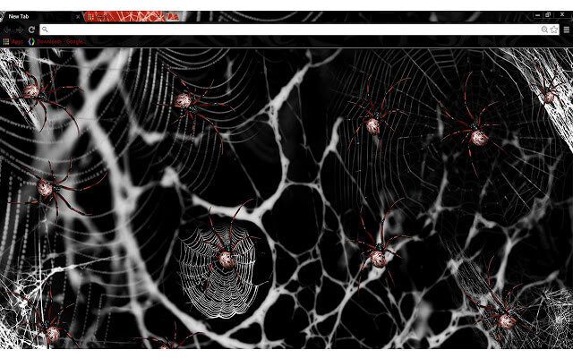 Spiders Google Chrome Theme