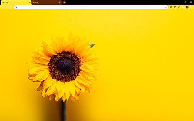 Sunflower Yellow Google Chrome Theme