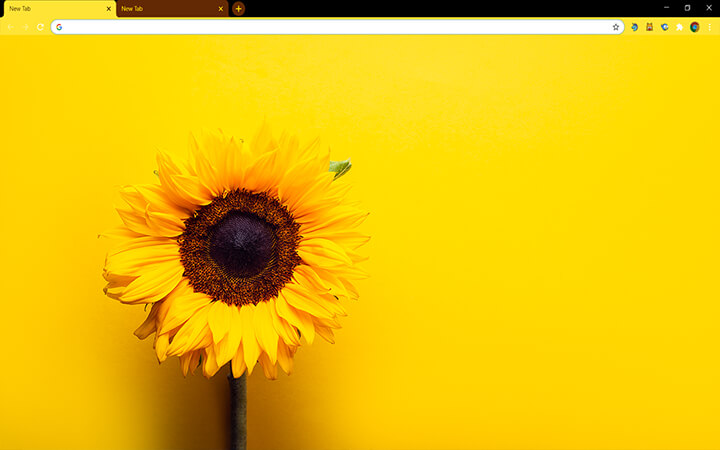 Sunflower Yellow Google Theme