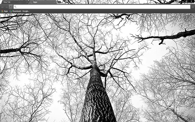 Tree Branches Google Chrome Theme