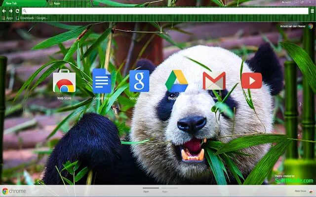 Wild Panda Google Chrome Theme