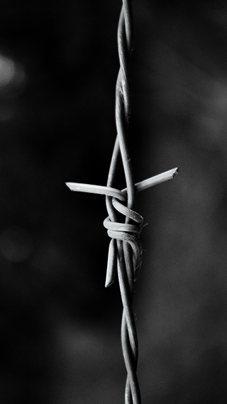 Barbed Wire Android Mobile Wallpaper