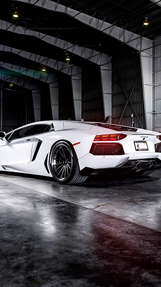 White Lamborghini HD Android Wallpaper