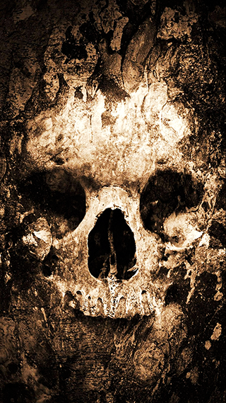 Zombie Skull Mobile Phone Wallpaper